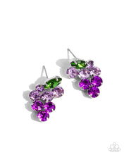 Load image into Gallery viewer, Grapevine Grace-Purple Earring #0044
